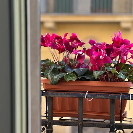 Apartment Da Cosimo U Pitturi