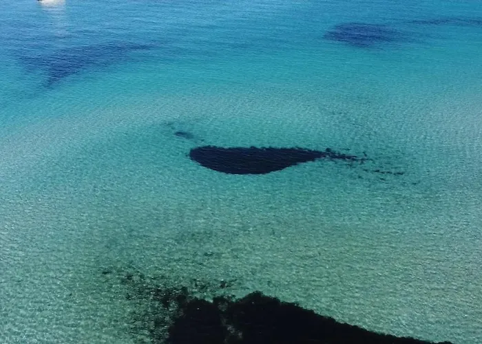 Daire Da Cosimo U Pitturi